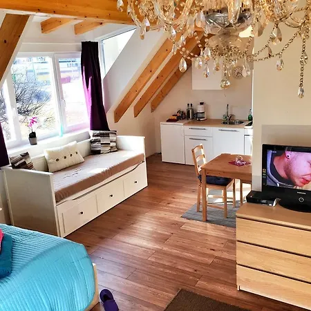 Book-A-Room Salzburg Apartment 5-6-7-8 Holiday home *